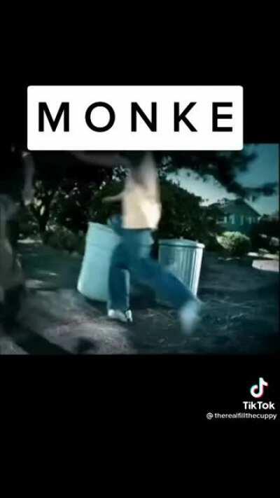 Only place I know where to post monke stuff(Monke moment)