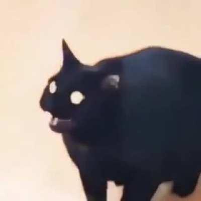 .- -. .- -. .. --.. .. / ... .-..- -.- . -.-- .-..- --