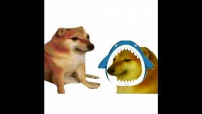 after weeks of thinking about this idea i finally went and edited it