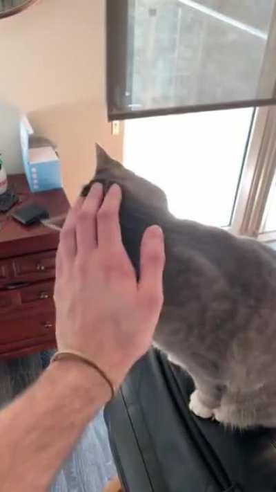 Some chirps from little Amelia