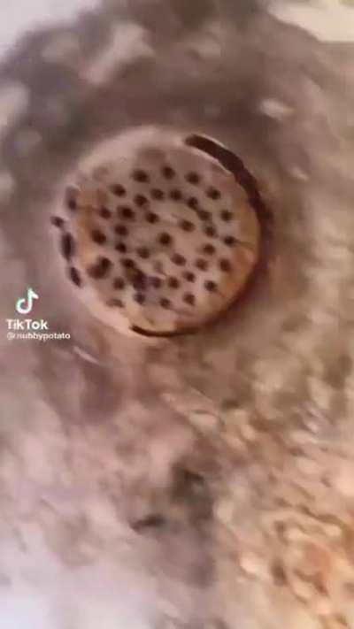 Yes hello. I heard you needed help in court, is that right?