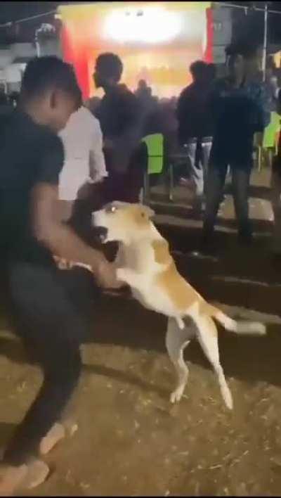 Unexpected dance move!