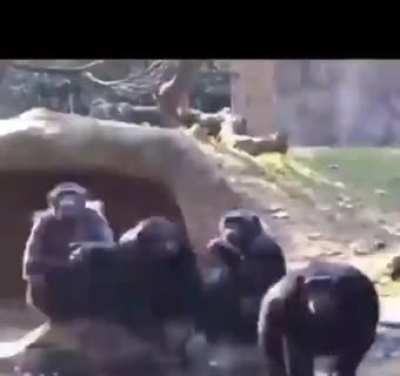 Cyberpunk 2077 çıkışı sonrası oyun dünyası: