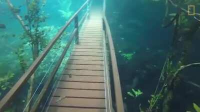 The way it looks down the bridge