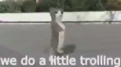 Devourer of Gods after crashing the game at like 10% health