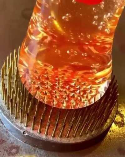 forbidden honey