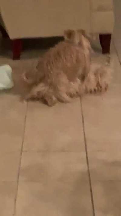 OnLy OnE cAn MaKe It OuT aLiVe