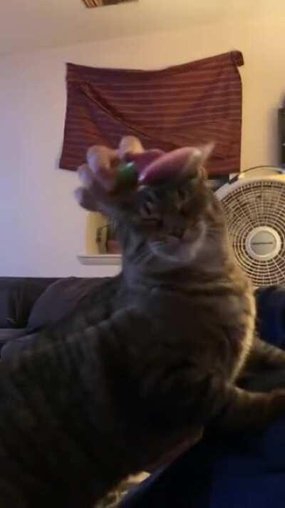 I call this the Tasmanian Devil yell