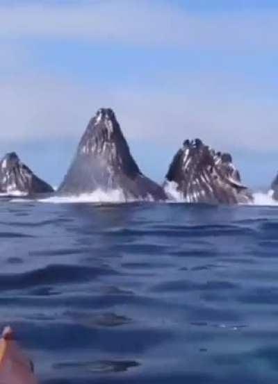 Reason why I hate Ocean!