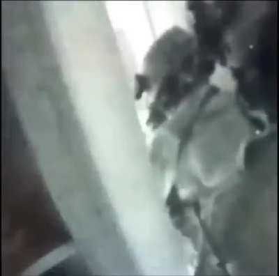 Delta Force CQB in Iraq, date unknown (ca. 2005-2008). Music from source.