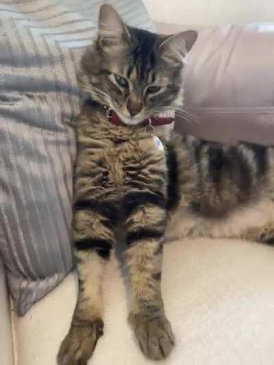 Waking up means activation trills for Cosmo