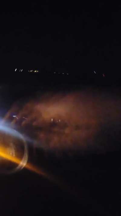 Mustang on Mustang crime