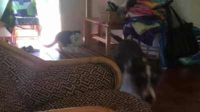 Kiki, what the fuck?