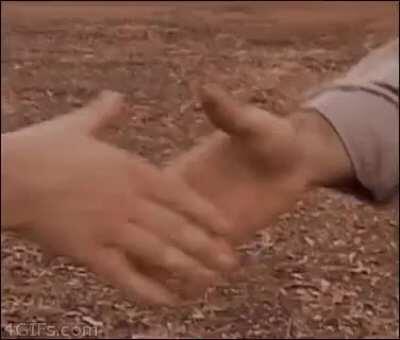 Police shake hands with protestors to show solidarity during the 1967 race riots (July 23, 1967)