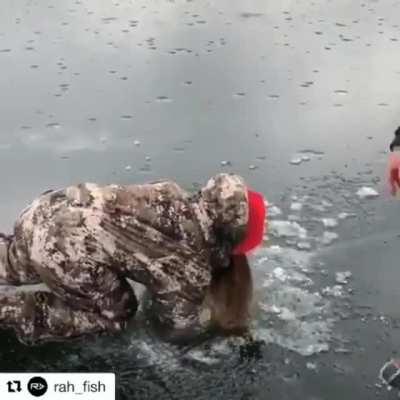 The one that Almost got away