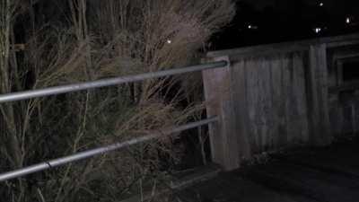 At a lookout on a cold night