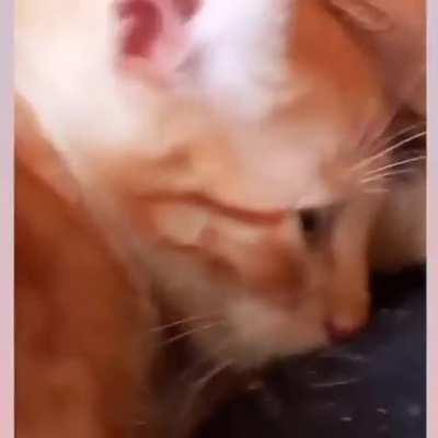 What did you say to me?!