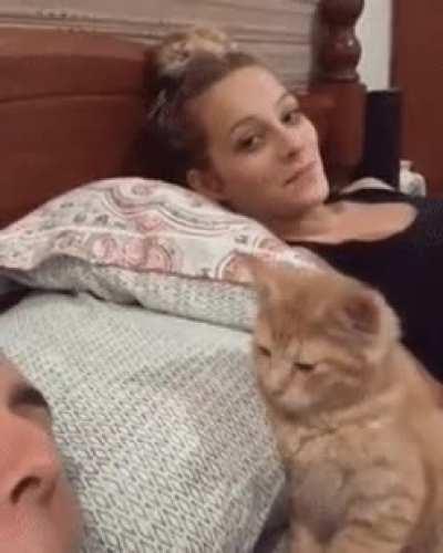 Getting chosen by your cat. Best feeling ever...