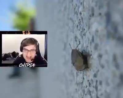 credit: @JoobiVEVO on twitter :)