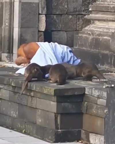 Just like kids not letting Elders Sleep