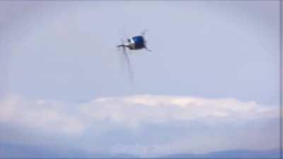 Paraquedista paraquedista