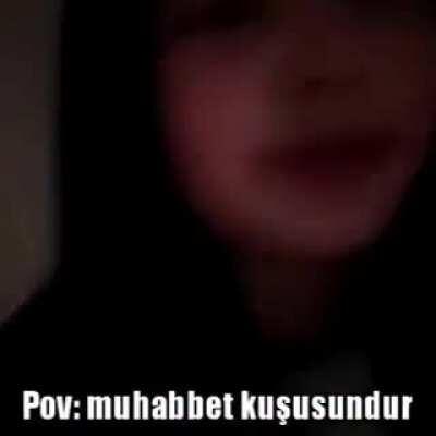 Muhabbet kuşları dünyayı nasıl görüyor.mp4