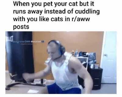 My whole life was a lie.