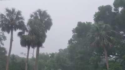 Just your typical afternoon rainstorm in Central Florida.