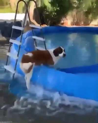 Gigi drains the pool