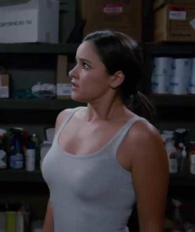 Melissa Fumero's best scene in Brooklyn 99