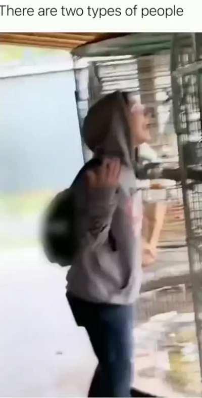 What type are you? 😄