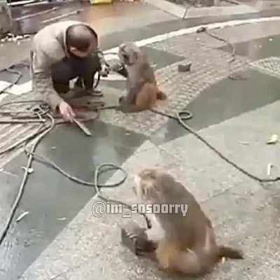 The First of Many Rebellions