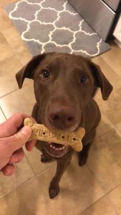 Careful... Care- SEE YA!