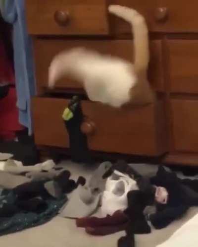 This drawer keeps getting smaller .. damn!