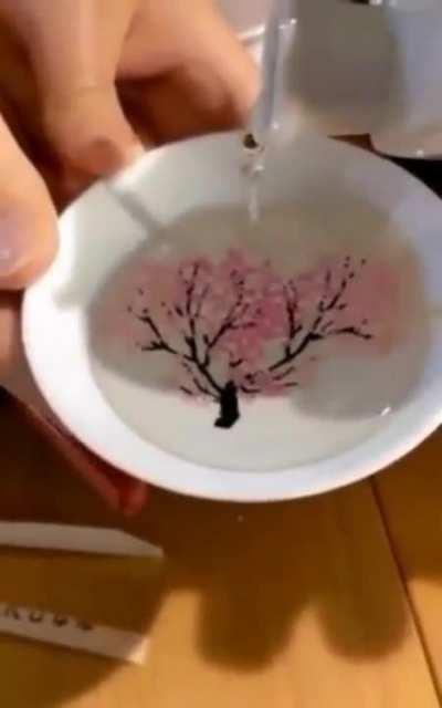 I bet that's warm sake.