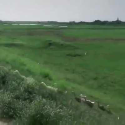 don't spoil your turn