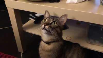 When the laser dot is on the ceiling