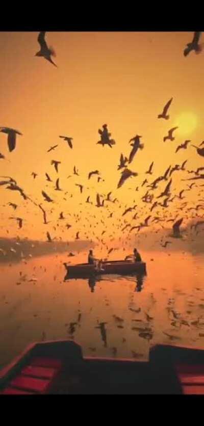 India in all it's glory! Video by @nirmal_kharayat on IG.