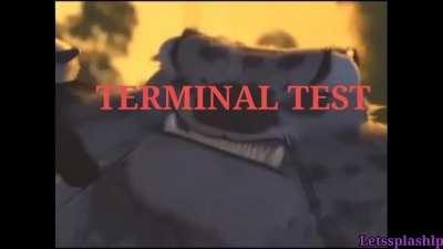 School system in a nutshell