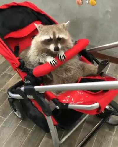 Ma'am, your baby is very cute