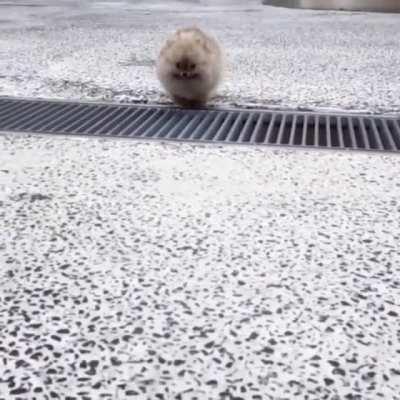 Life is full of obstacles