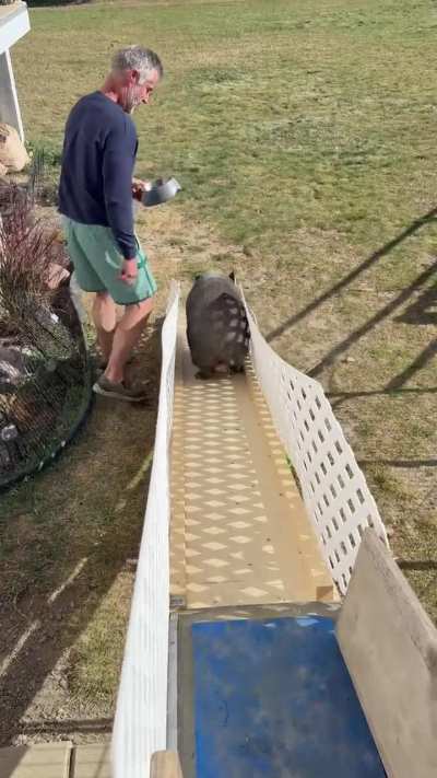 Our little guy on his first slide!