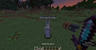 My first post of the subreddit: Dinnerbone meal