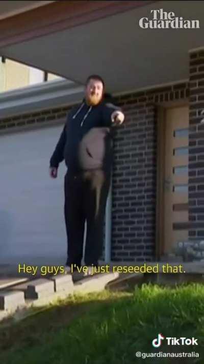 This is a true masterpiece