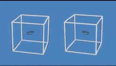 These cubes aren't moving