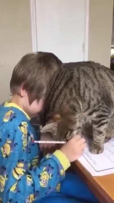 Stop doing your homework,just play with me 😫 So sweet !!😘😘😘