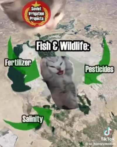 Ecological and Community Destruction 