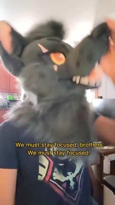 focus_irl