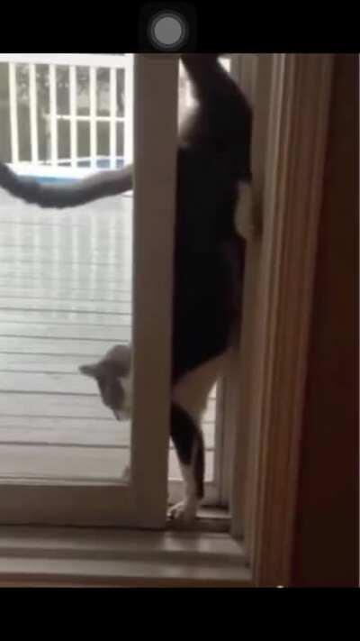 Well that’s one way to do it (not oc)