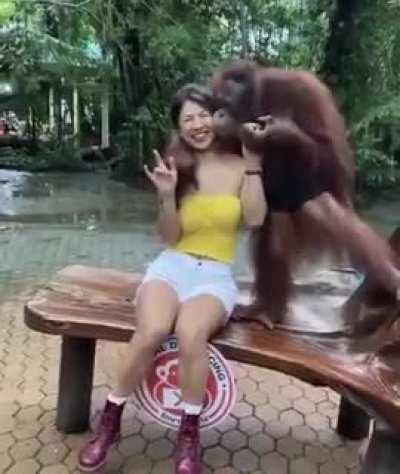 WCGW confuse feminist noises.